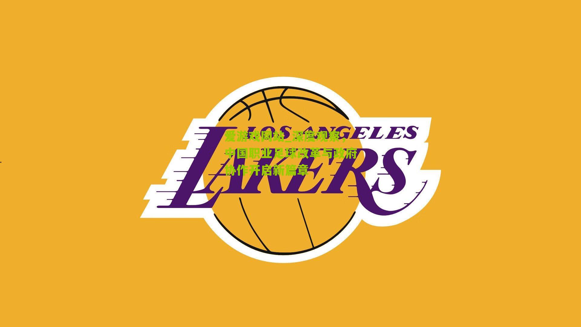 深度观察，中国职业足球改革与政府协作开启新篇章